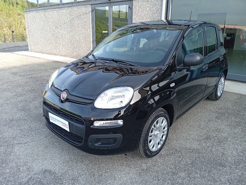 FIAT Pandina